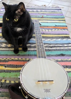 Gold Tone banjo ukulele and cat