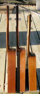 3 Northern ukes