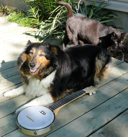 Sophie, Ollie and Waverly Street banjo ukulele